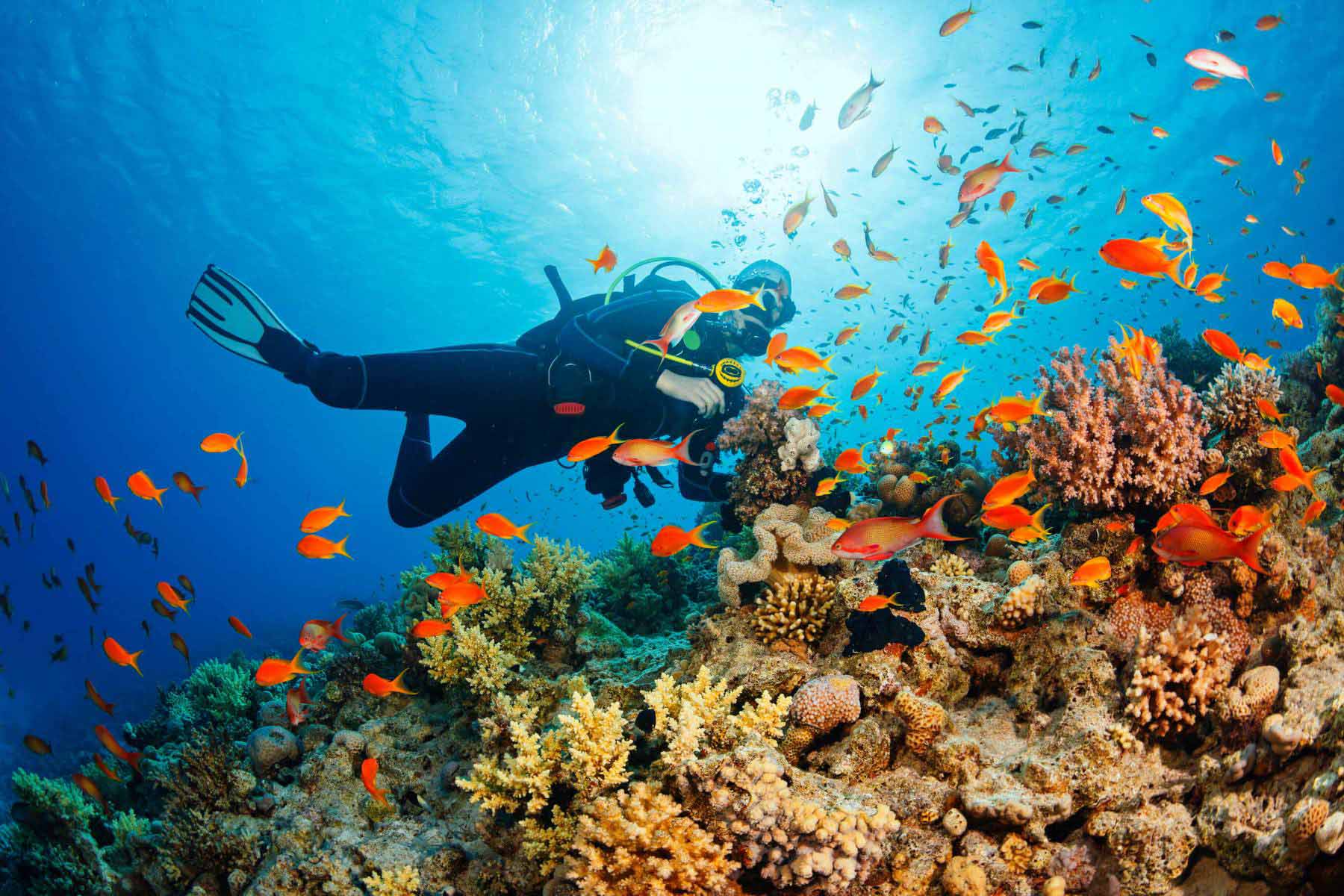 scuba diving in phu quoc vietnam